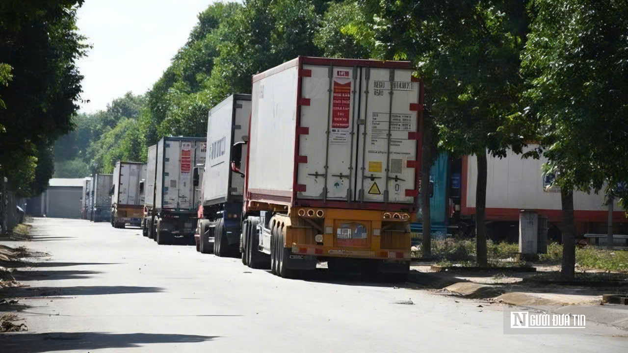 H&agrave;ng ng&agrave;n container sầu ri&ecirc;ng đổ về Dầu Gi&acirc;y: T&agrave;i xế vật vờ chờ kiểm định, người d&acirc;n than trời v&igrave; &ugrave;n tắc - Ảnh 11.