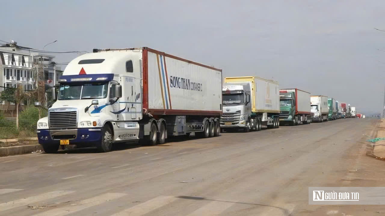 H&agrave;ng ng&agrave;n container sầu ri&ecirc;ng đổ về Dầu Gi&acirc;y: T&agrave;i xế vật vờ chờ kiểm định, người d&acirc;n than trời v&igrave; &ugrave;n tắc - Ảnh 12.