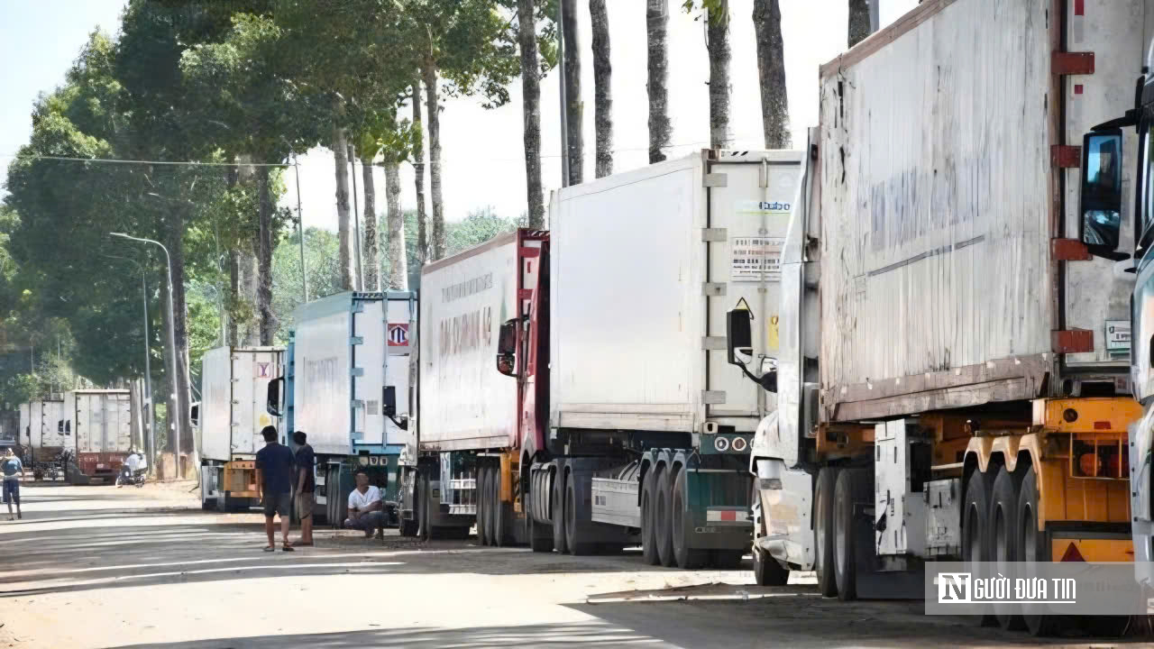 H&agrave;ng ng&agrave;n container sầu ri&ecirc;ng đổ về Dầu Gi&acirc;y: T&agrave;i xế vật vờ chờ kiểm định, người d&acirc;n than trời v&igrave; &ugrave;n tắc - Ảnh 14.