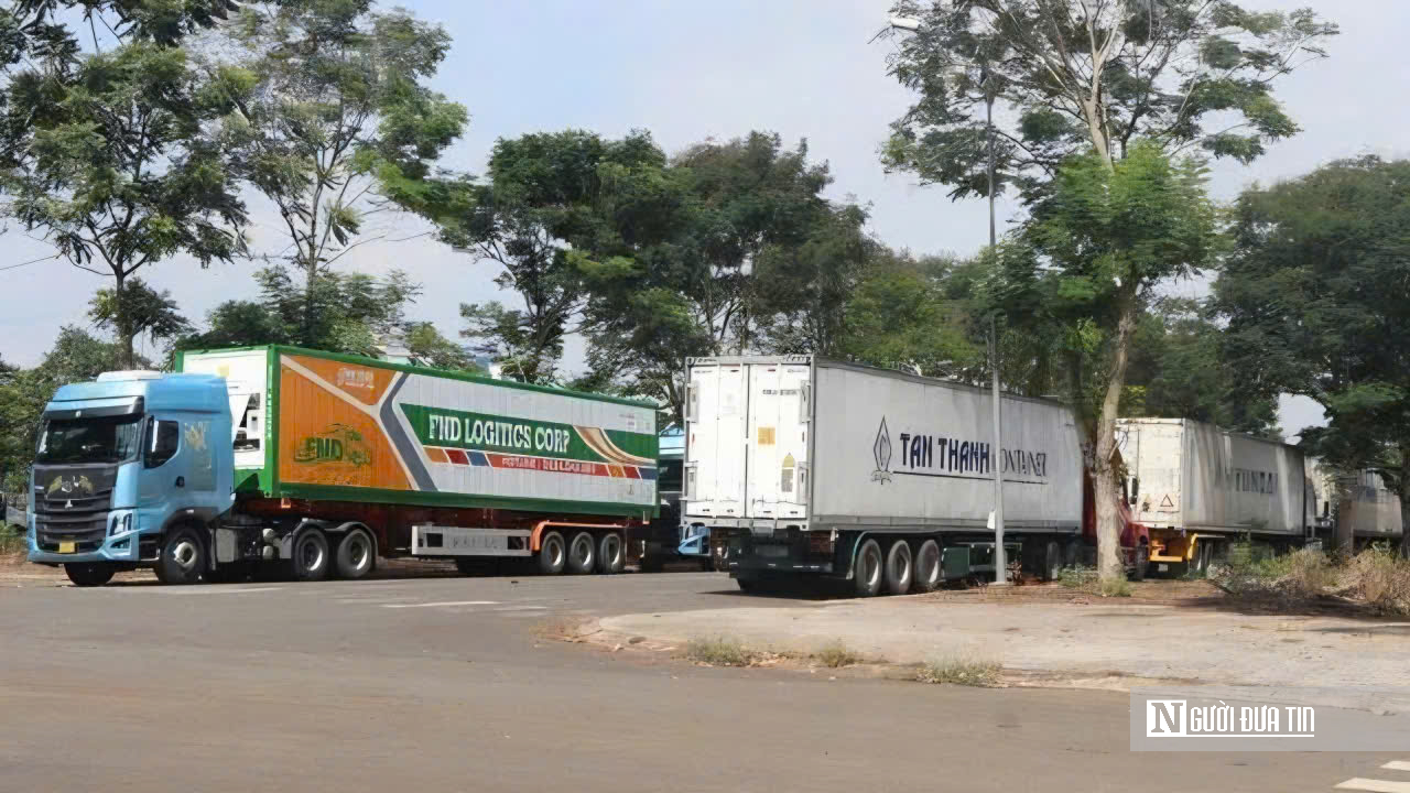H&agrave;ng ng&agrave;n container sầu ri&ecirc;ng đổ về Dầu Gi&acirc;y: T&agrave;i xế vật vờ chờ kiểm định, người d&acirc;n than trời v&igrave; &ugrave;n tắc - Ảnh 15.