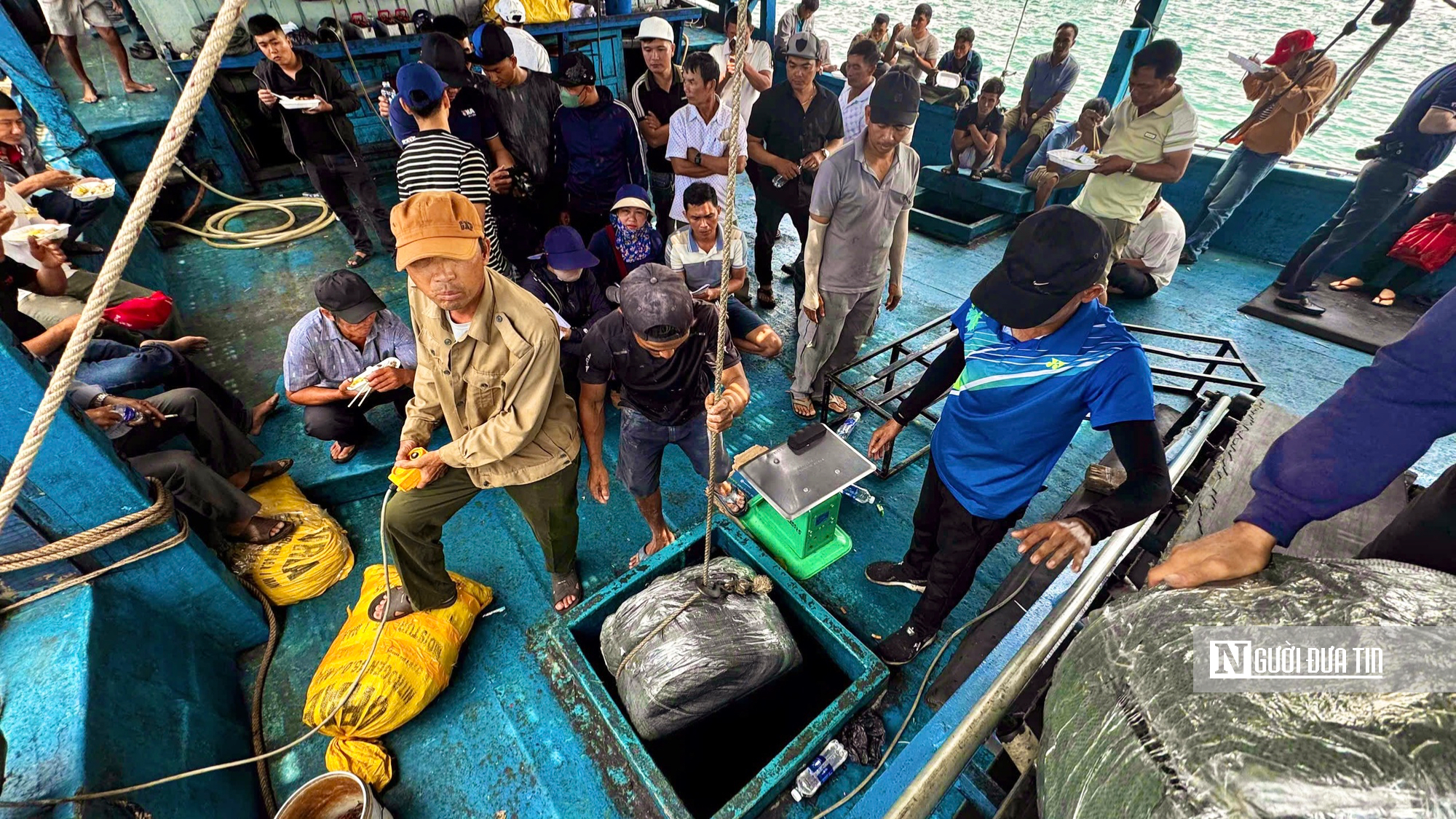 Mực xà Quảng Ngãi trúng đậm chưa từng có, nhiều tàu cá thu bạc tỷ sau chuyến biển Trường Sa- Ảnh 3.