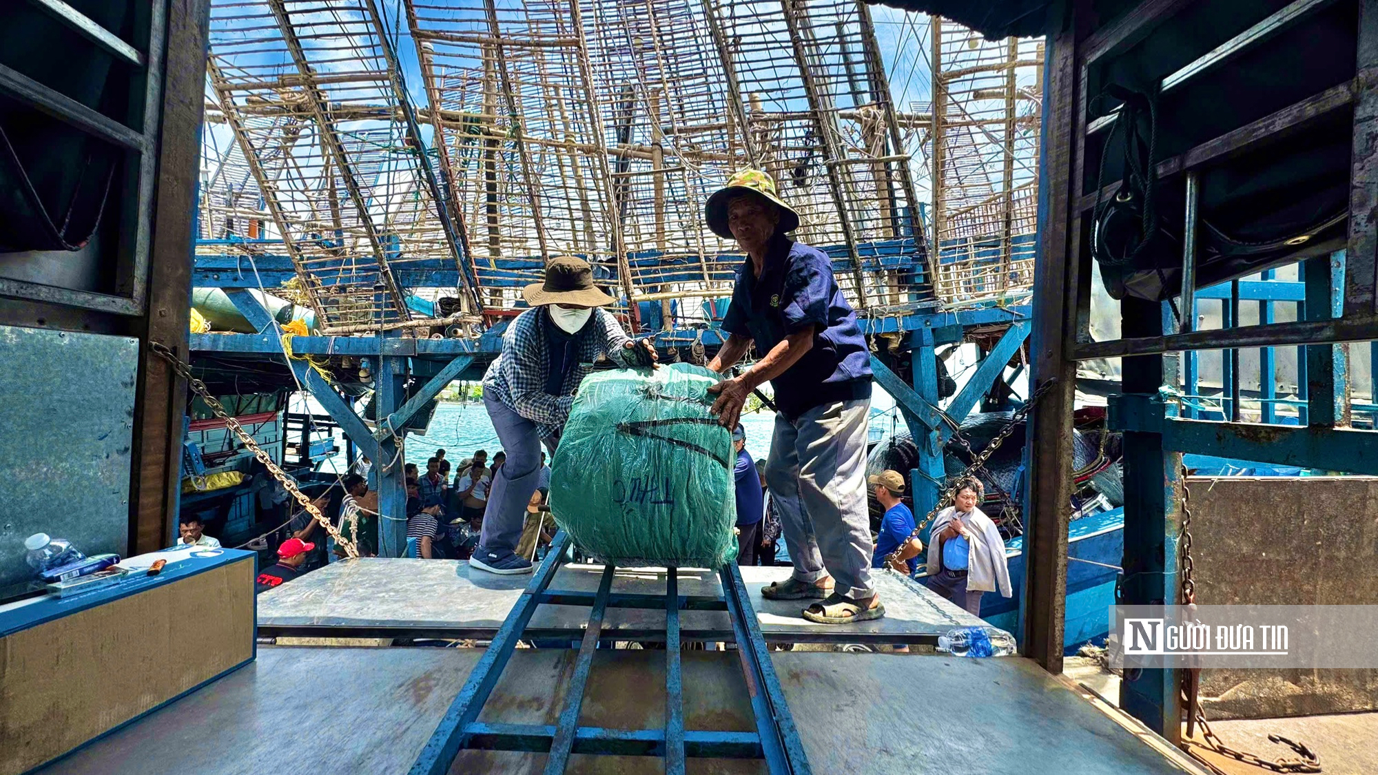 Mực x&agrave; Quảng Ng&atilde;i tr&uacute;ng đậm chưa từng c&oacute;, nhiều t&agrave;u c&aacute; thu bạc tỷ sau chuyến biển Trường Sa- Ảnh 4.