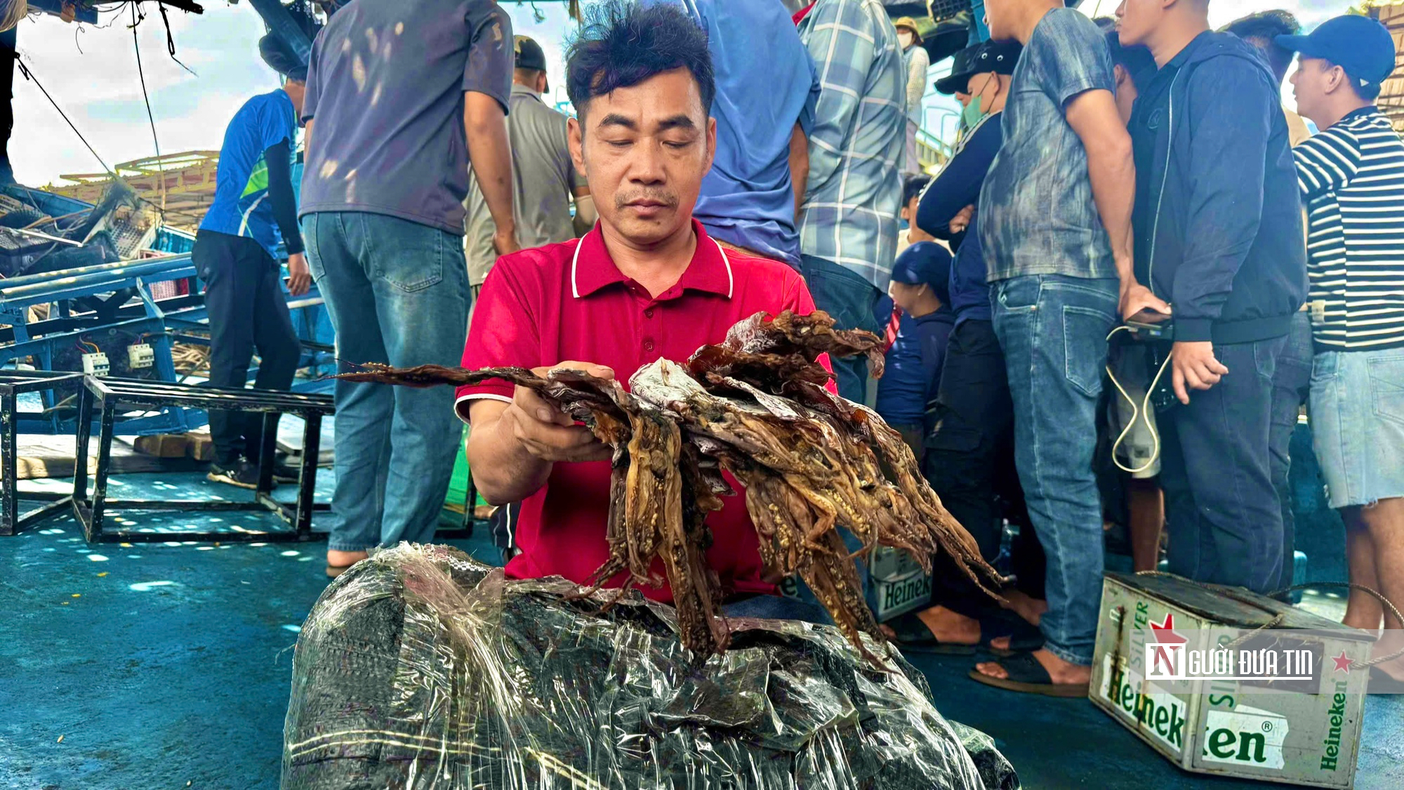 Mực x&agrave; Quảng Ng&atilde;i tr&uacute;ng đậm chưa từng c&oacute;, nhiều t&agrave;u c&aacute; thu bạc tỷ sau chuyến biển Trường Sa- Ảnh 5.