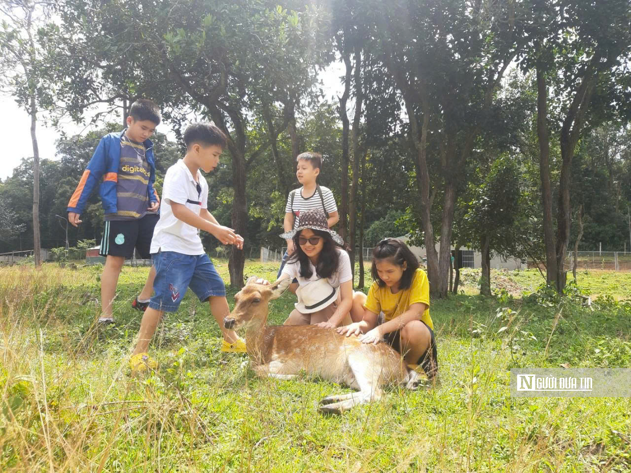 Du lịch sinh th&aacute;i, ch&igrave;a kh&oacute;a mới cho kinh tế rừng ở Gia Lai- Ảnh 17.