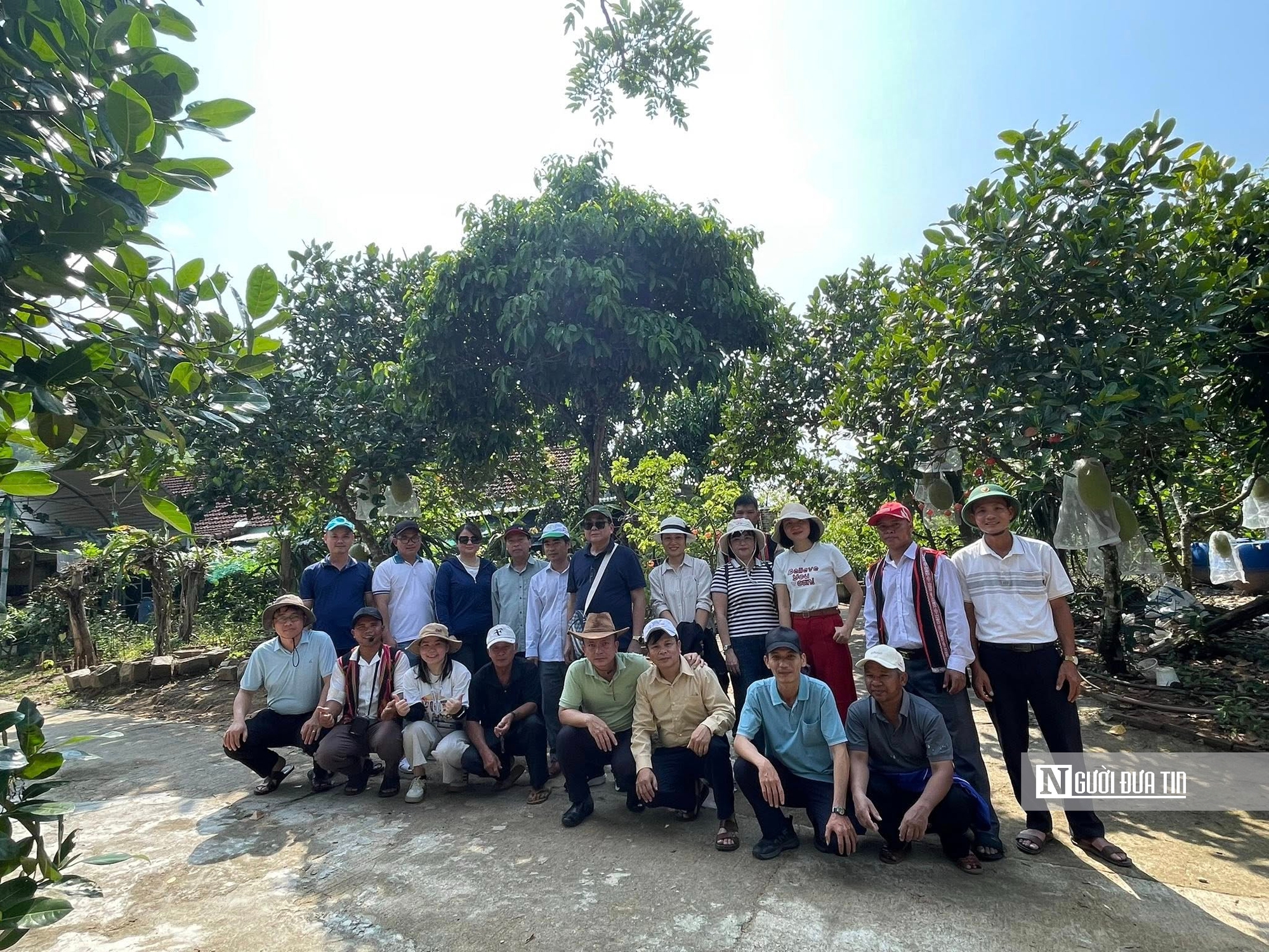Du lịch sinh thái, chìa khóa mới cho kinh tế rừng ở Gia Lai- Ảnh 5.