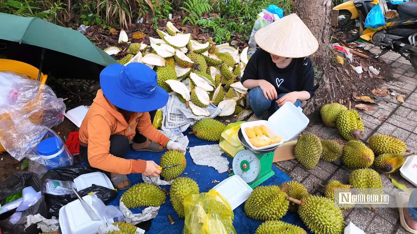 Sầu riêng tại vườn rớt giá, vì sao người tiêu dùng vẫn mua đắt? - Ảnh 1.