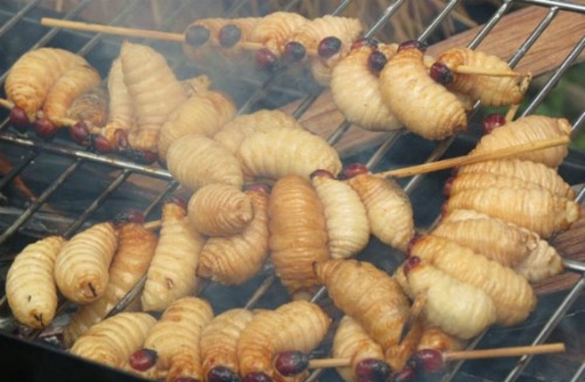 Món đặc sản nhìn tưởng “kinh dị”, giá 400.000 đồng/kg vẫn có người mua - Ảnh 2.