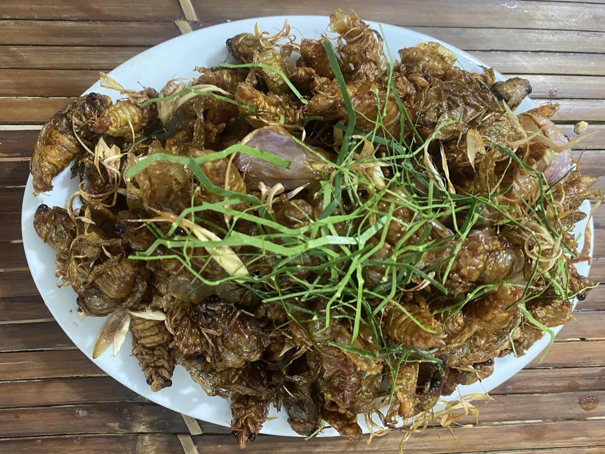 Nghi ngộ độc sau ăn ve sầu, nấm rừng, Bộ Y tế yêu cầu làm rõ nguyên nhân- Ảnh 1.