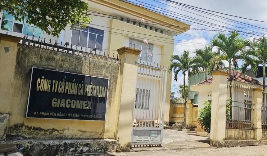 Sai phạm trong cổ phần hóa công ty cà phê, kiến nghị chuyển hồ sơ sang công an - Ảnh 1.