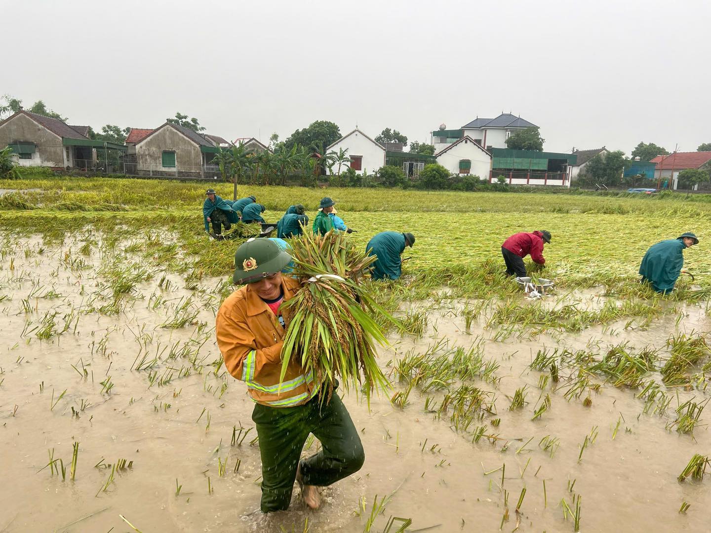 C&ocirc;ng an xuống đồng gi&uacute;p d&acirc;n gặt l&uacute;a sau gi&ocirc;ng lốc v&agrave; "l&aacute; đơn cảm ơn" g&acirc;y x&uacute;c động- Ảnh 8.