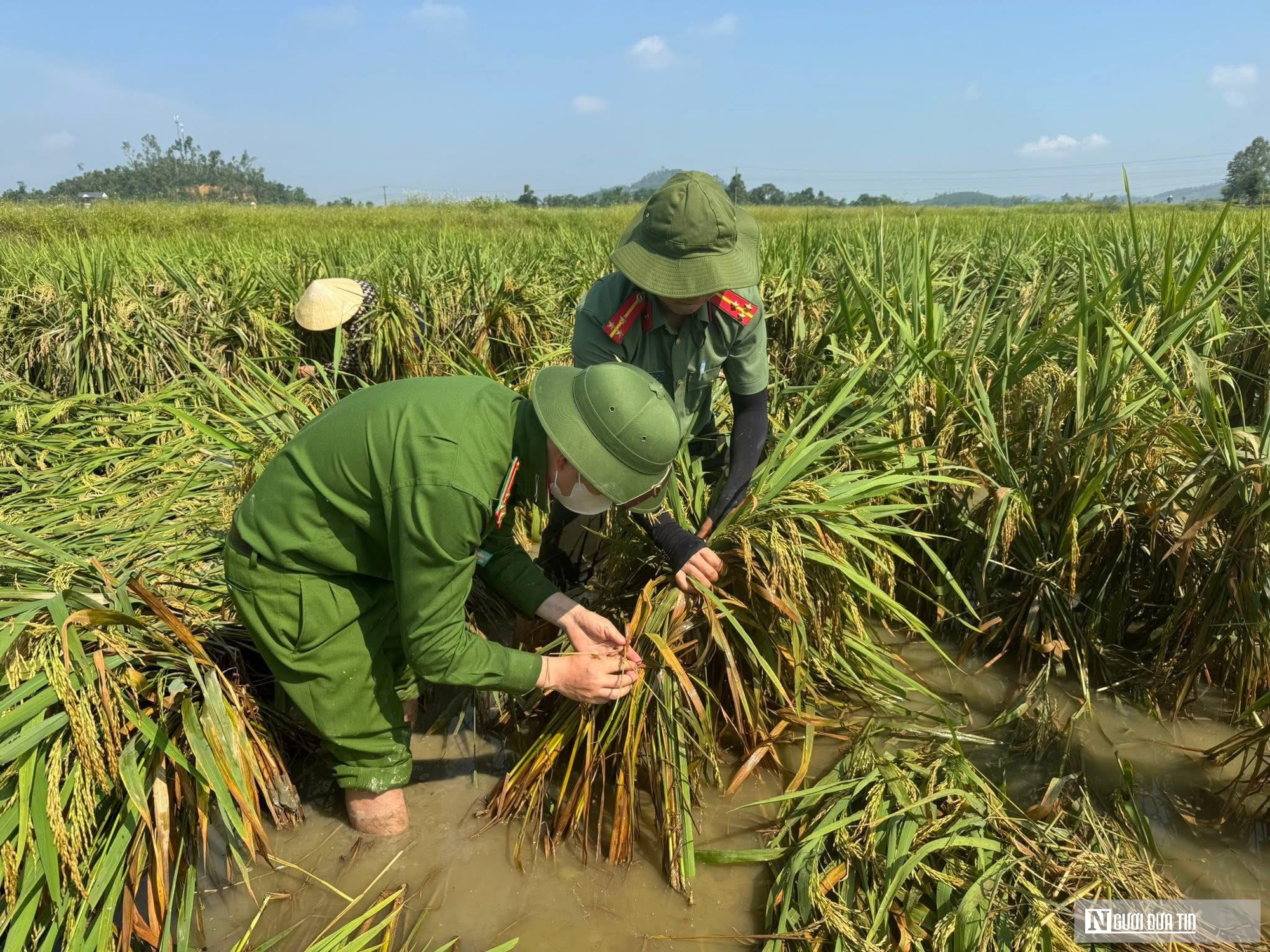 C&ocirc;ng an xuống đồng gi&uacute;p d&acirc;n gặt l&uacute;a sau gi&ocirc;ng lốc v&agrave; "l&aacute; đơn cảm ơn" g&acirc;y x&uacute;c động- Ảnh 6.