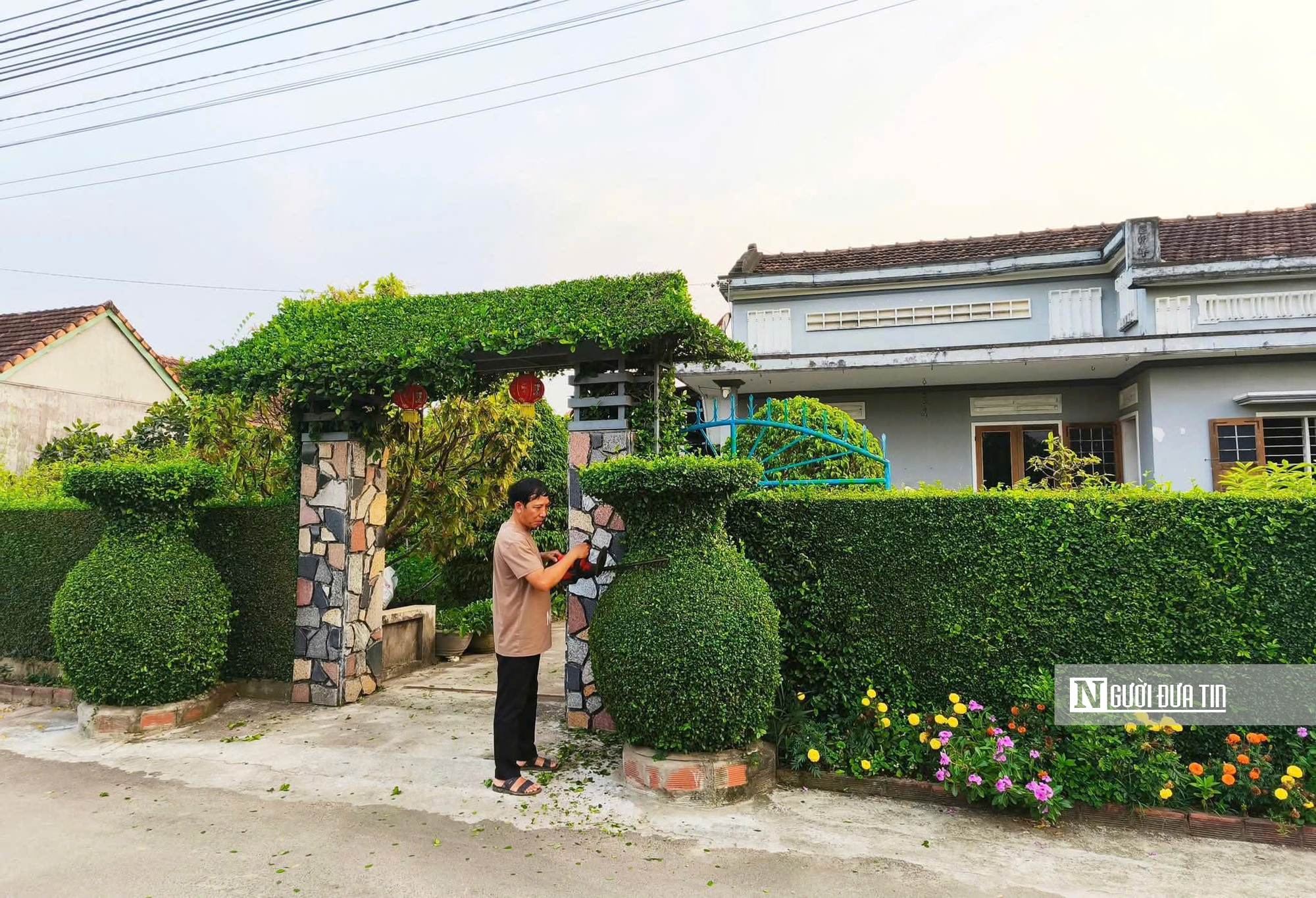 Về Thuận Nghĩa để nghe chuyện trồng rau trở th&agrave;nh chuyện du lịch- Ảnh 2.