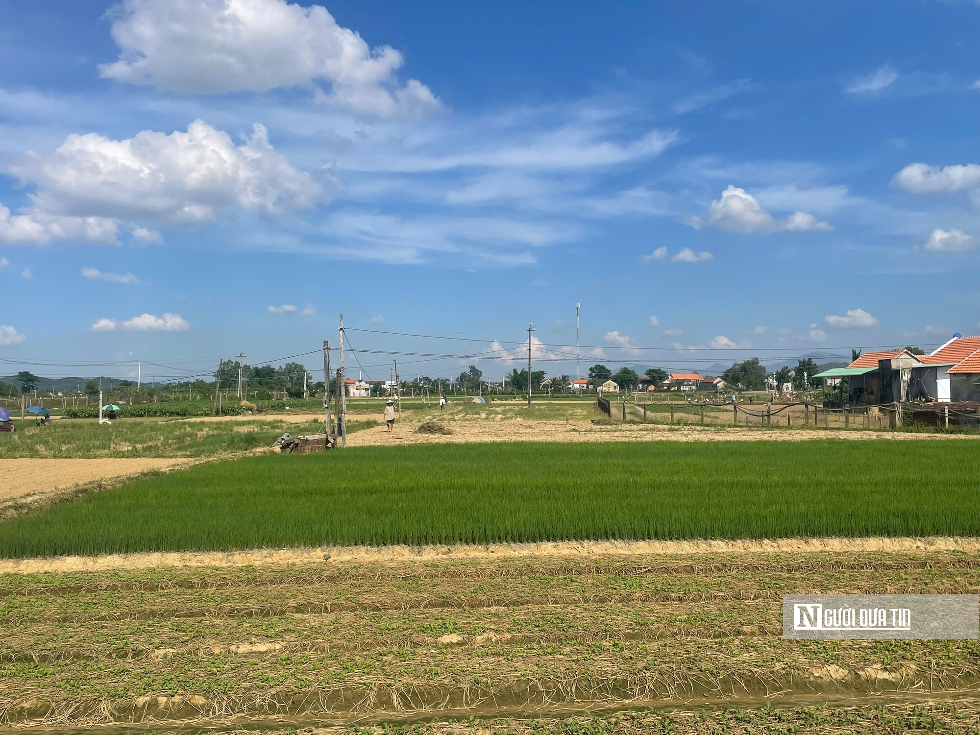 Về Thuận Nghĩa để nghe chuyện trồng rau trở thành chuyện du lịch- Ảnh 7.