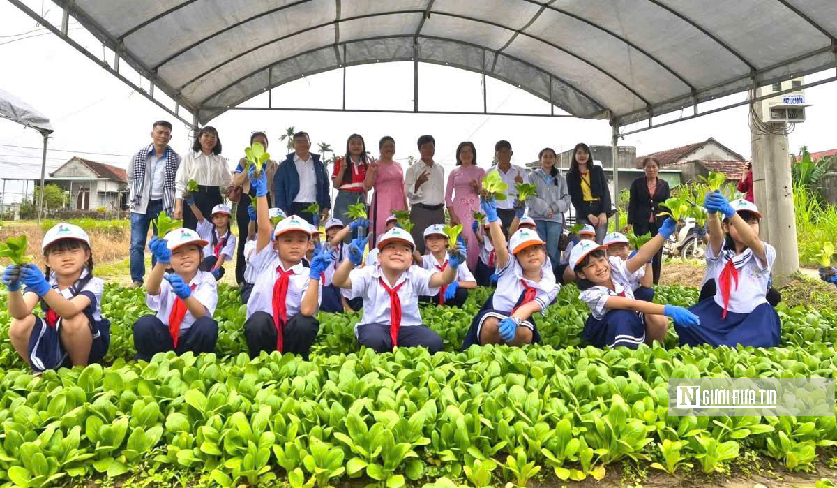Về Thuận Nghĩa để nghe chuyện trồng rau trở thành chuyện du lịch- Ảnh 15.