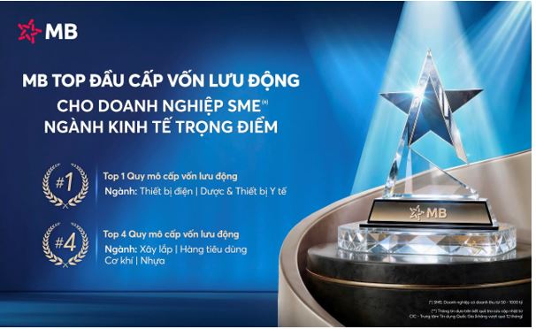MB – Ngân hàng  top đầu Cấp vốn lưu động cho doanh nghiệp SME thuộc ngành kinh tế trọng điểm - Ảnh 1.