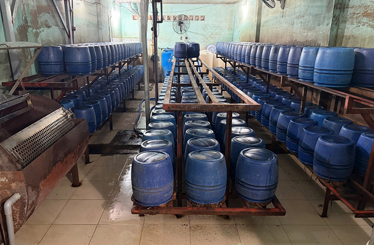 Khởi tố nhóm sản xuất hơn 1.000 tấn giá đỗ ngâm chất cấm, thu lợi bất chính 8 tỷ đồng- Ảnh 2. Khởi tố nhóm sản xuất hơn 1.000 tấn giá đỗ ngâm chất cấm, thu lợi bất chính 8 tỷ đồng- Ảnh 2.
