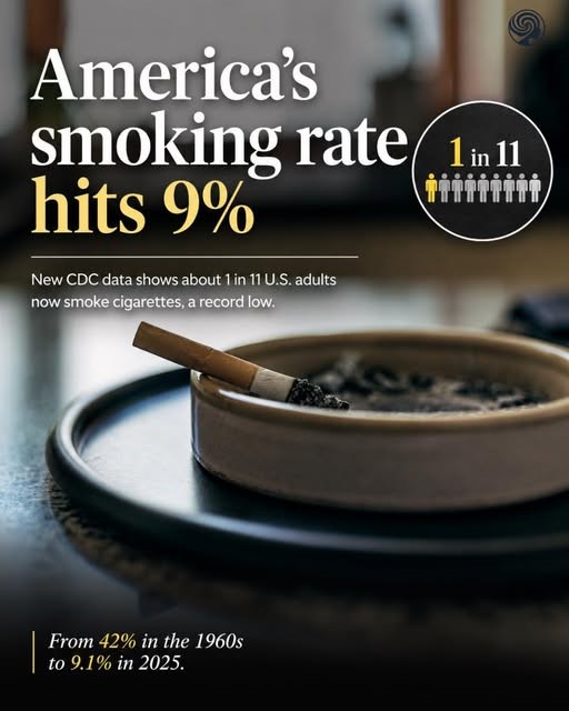 Sự dịch chuyển của thị trường nicotine và quá trình thích nghi của chính sách - Ảnh 2.
