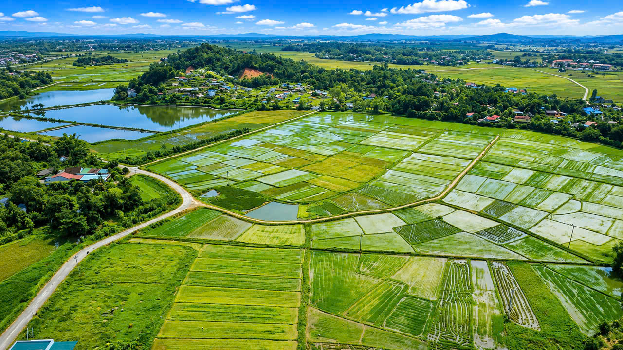 “Gọi tên xã cũ thành thôn” tạo sự đồng thuận cao ở xã Tứ Mỹ- Ảnh 1. “Gọi tên xã cũ thành thôn” tạo sự đồng thuận cao ở xã Tứ Mỹ- Ảnh 1.