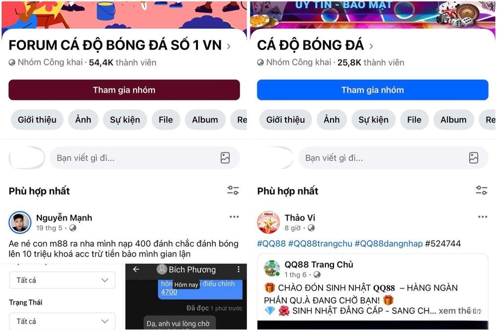 Cảnh giác các chiêu trò cá độ và lừa đảo trực tuyến mùa World Cup 2026 - Ảnh 1.