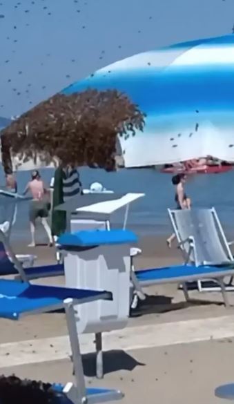 Đang tắm biển, du khách hoảng loạn bỏ chạy khi thấy cảnh "đáng sợ" trên chiếc ô - Ảnh 2.