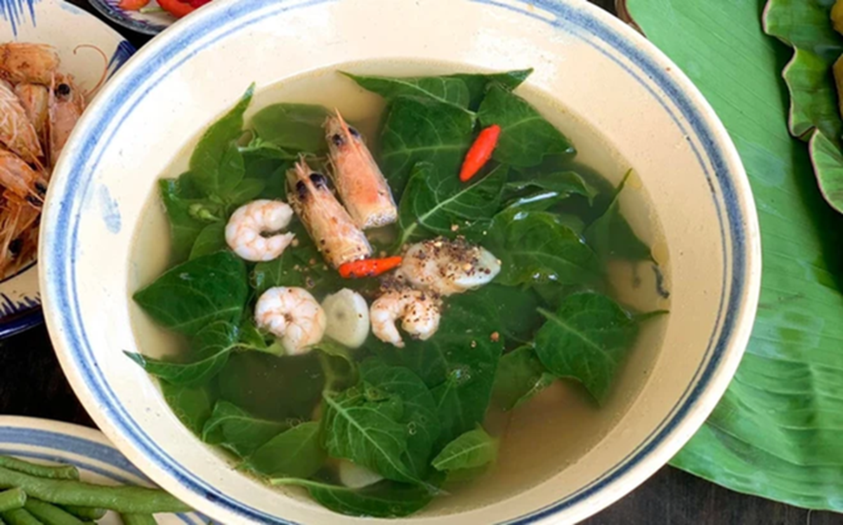 Đừng chỉ ăn quả, lá loại cây này quý như