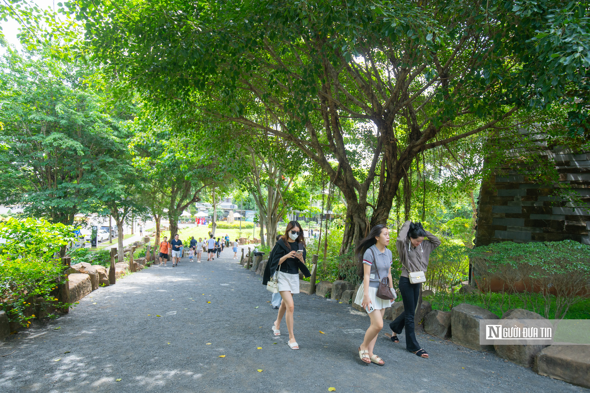Khám phá không gian trưng bày lịch sử, văn hóa cà phê toàn cầu tại Đắk Lắk- Ảnh 18.