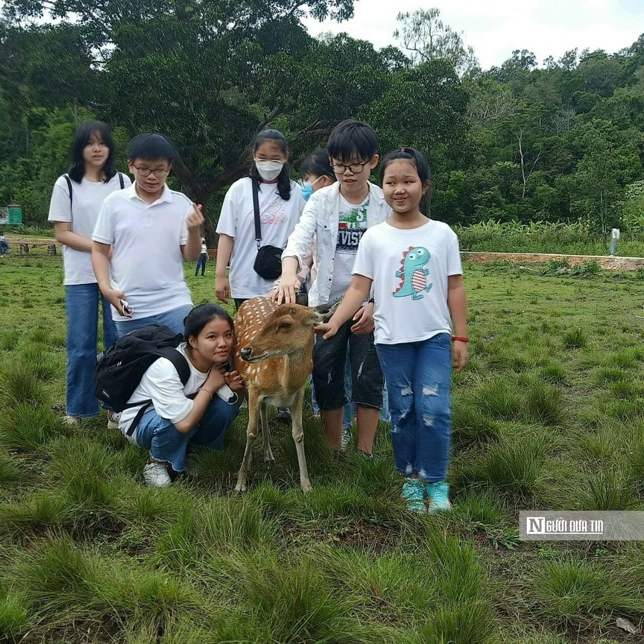 Vườn Quốc gia Kon Ka Kinh, "nóc nhà của Gia Lai" mở cửa đón khách- Ảnh 13. Vườn Quốc gia Kon Ka Kinh, "nóc nhà của Gia Lai" mở cửa đón khách- Ảnh 13.