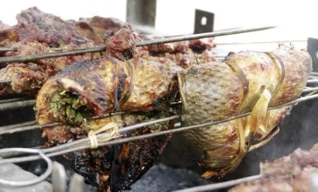 "Cá tiến Vua" thuộc nhóm "ngũ quý hà thủy", thế giới chỉ 3 nước có- Ảnh 3. "Cá tiến Vua" thuộc nhóm "ngũ quý hà thủy", thế giới chỉ 3 nước có- Ảnh 3.