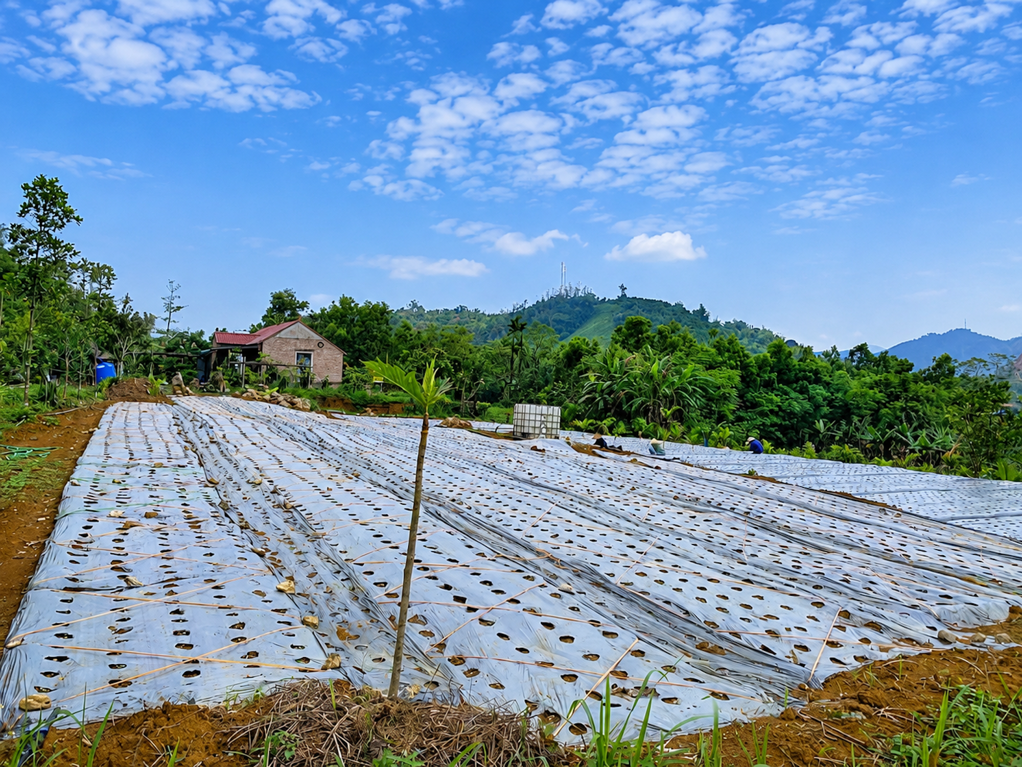 Chủ tịch UBND tỉnh Lào Cai Nguyễn Tuấn Anh: Khai mở tiềm năng 