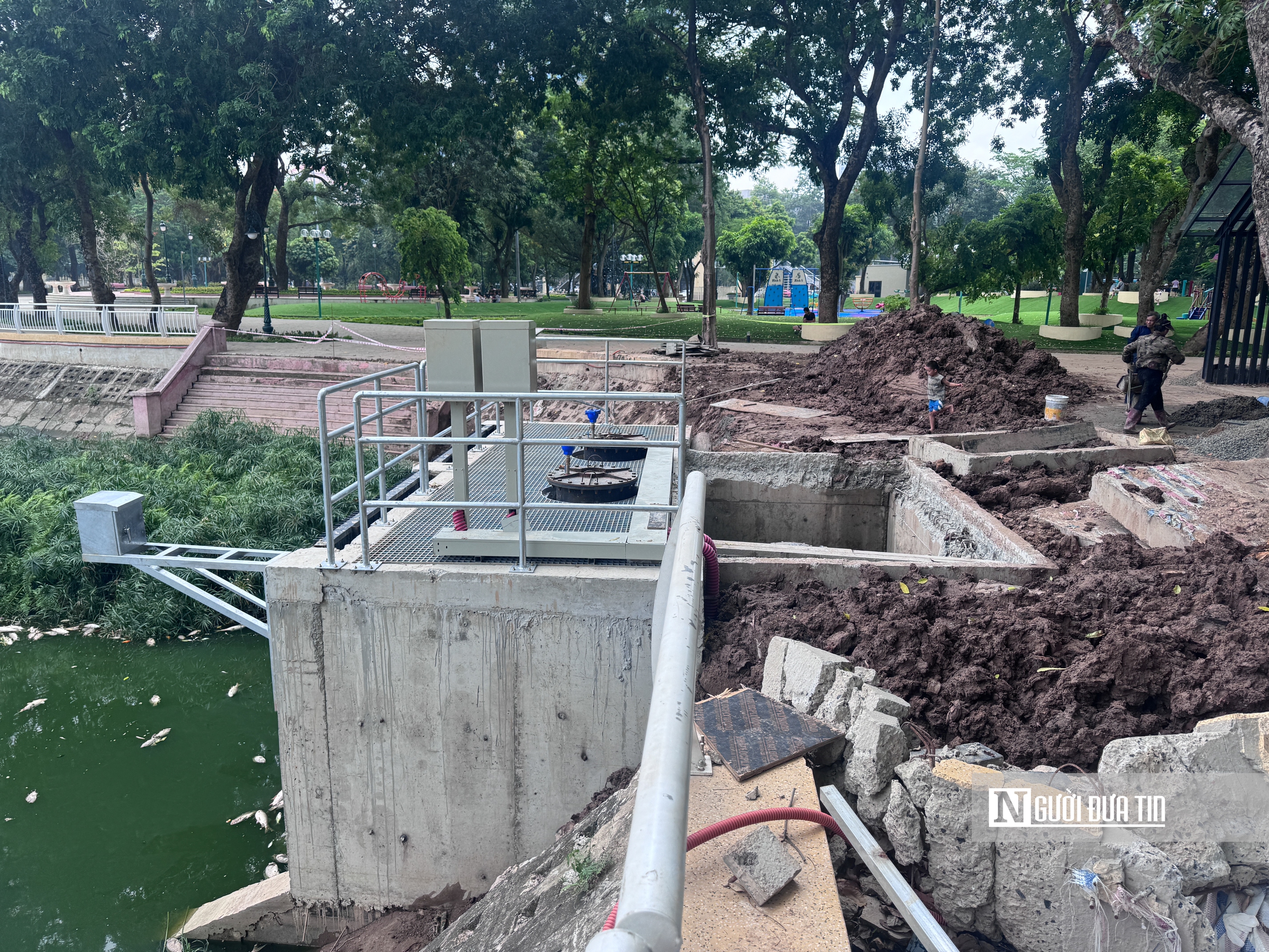Hà Nội: Cá chết nổi trắng hồ Nghĩa Đô - Ảnh 18.