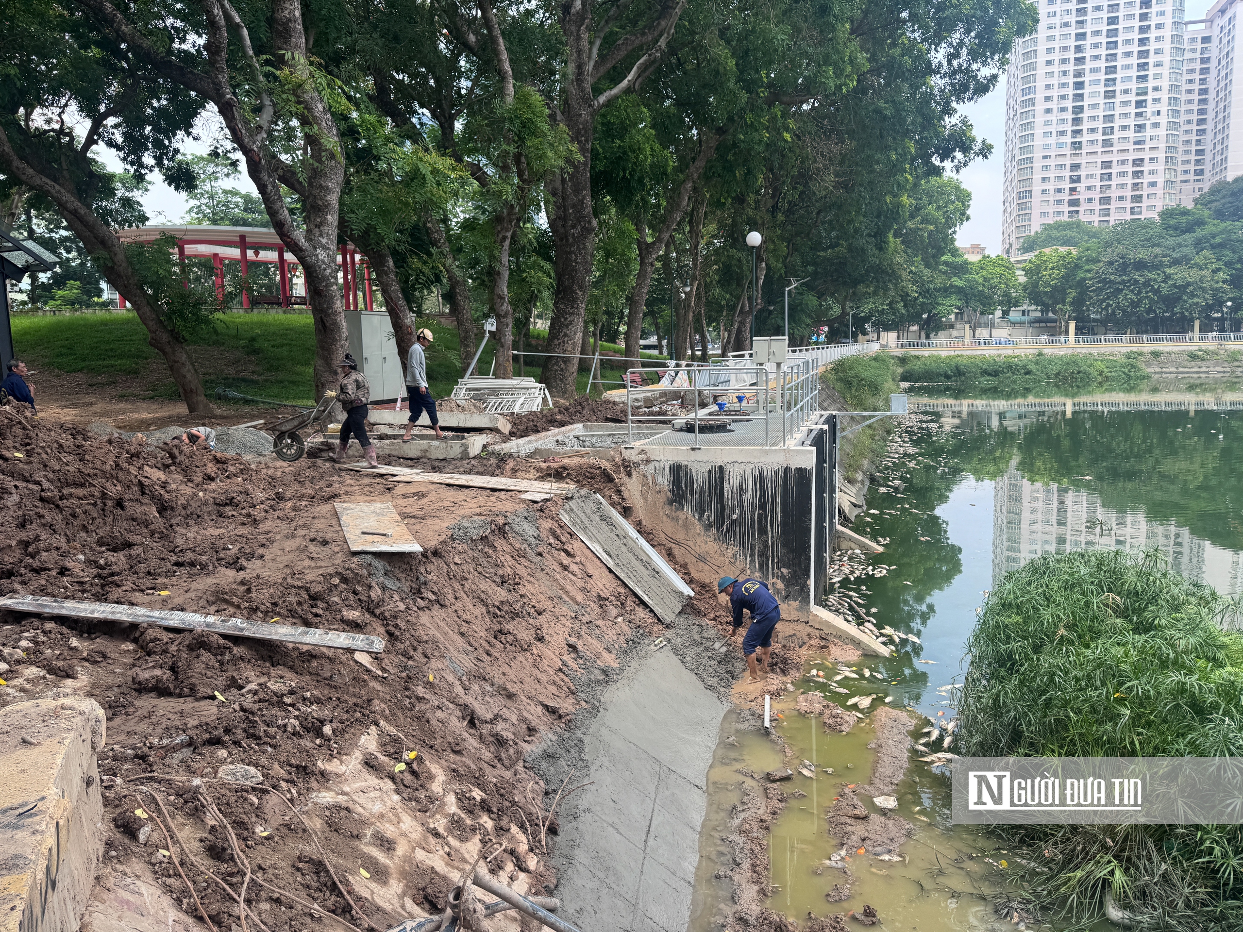 Hà Nội: Cá chết nổi trắng hồ Nghĩa Đô - Ảnh 19.