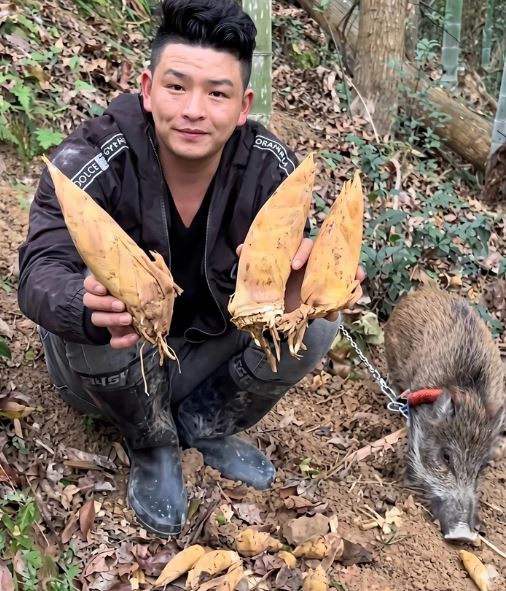 Chỉ nuôi con lợn nặng 15kg, người đàn ông kiếm được gần 500 triệu đồng - Ảnh 1.