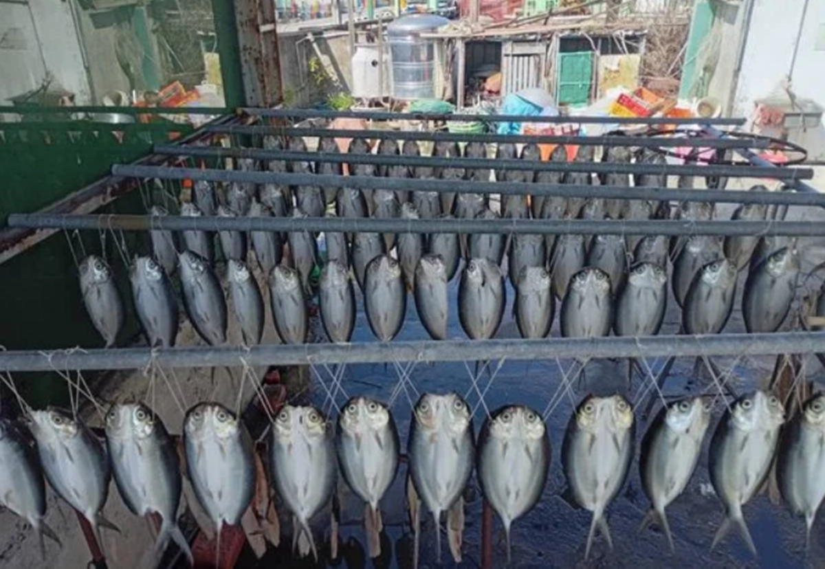 Đang đi dạo, người dân phát hiện cảnh tượng 
