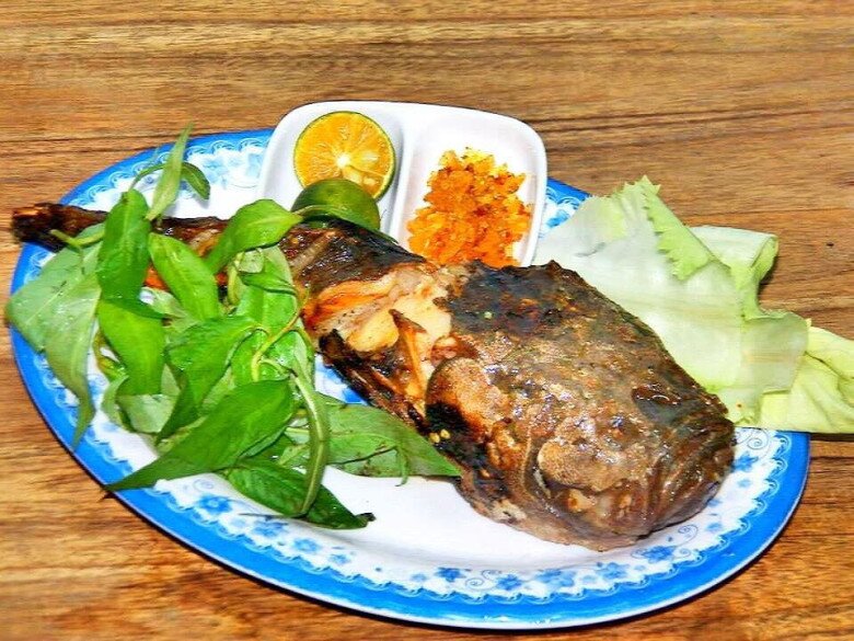 Loài cá có vẻ ngoài 