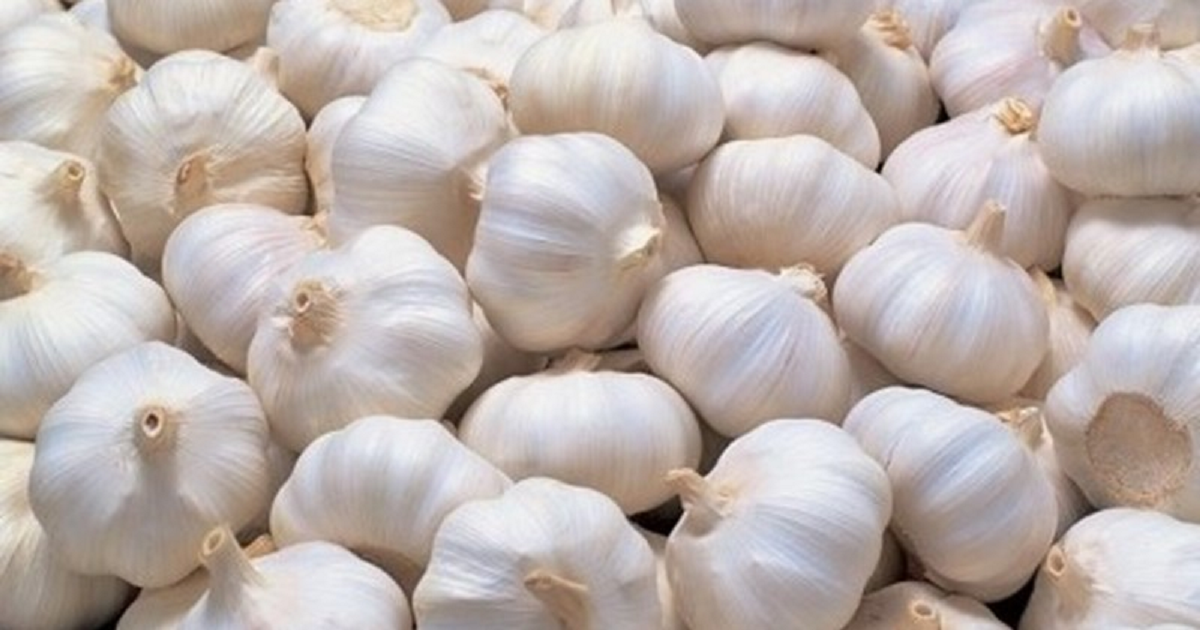 Người phụ nữ ăn tỏi sống mỗi ngày để 