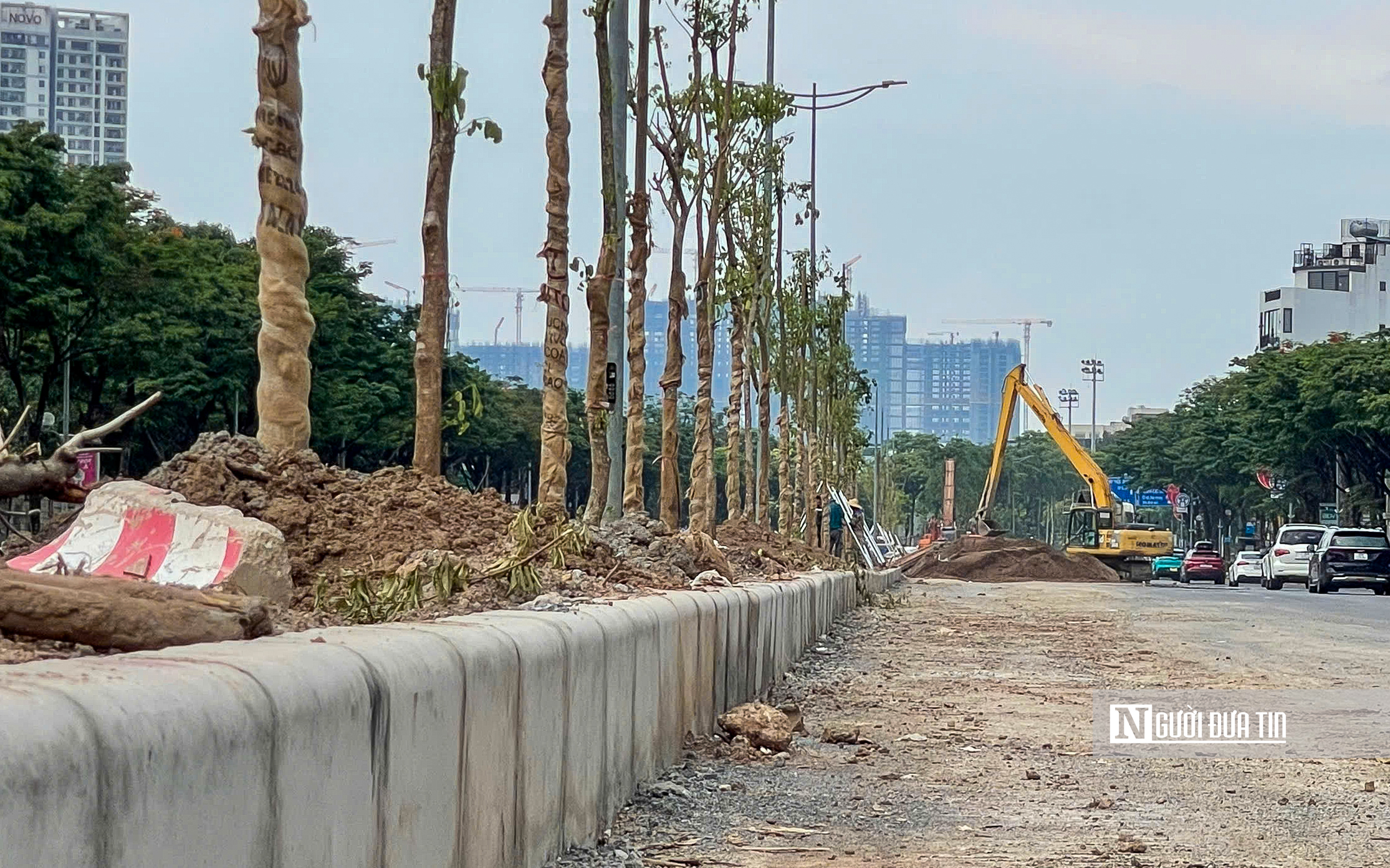 Hà Nội: Cận cảnh hàng cây xanh vừa trồng đã sắp bị thay trên đường Võ Chí Công- Ảnh 6. Hà Nội: Cận cảnh hàng cây xanh vừa trồng đã sắp bị thay trên đường Võ Chí Công- Ảnh 6.