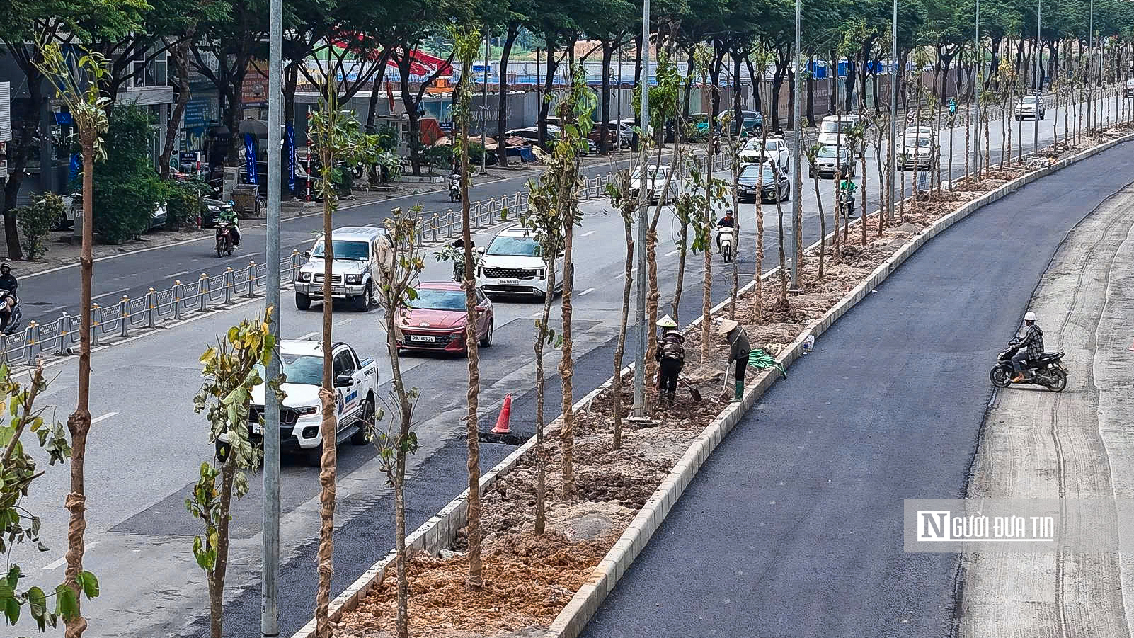 Hà Nội: Cận cảnh hàng cây xanh vừa trồng đã sắp bị thay trên đường Võ Chí Công- Ảnh 5. Hà Nội: Cận cảnh hàng cây xanh vừa trồng đã sắp bị thay trên đường Võ Chí Công- Ảnh 5.