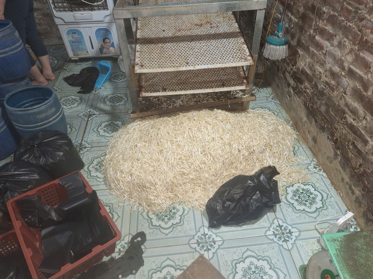 Hưng Yên: Khởi tố đối tượng sử dụng chất cấm sản xuất gần 800kg giá đỗ tuồn ra thị trường- Ảnh 2.