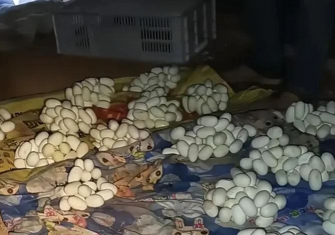 Mở cửa căn phòng trống, nam thanh niên chứng kiến cảnh tượng