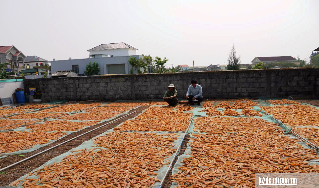 Loại đặc sản giúp cả thôn “đổi đời”, cho nguồn thu hàng chục tỷ mỗi năm- Ảnh 3.