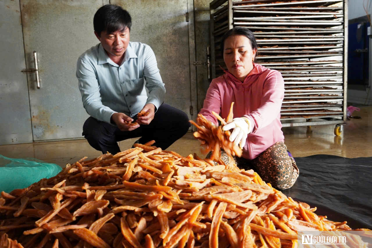 Loại đặc sản giúp cả thôn “đổi đời”, cho nguồn thu hàng chục tỷ mỗi năm- Ảnh 6.