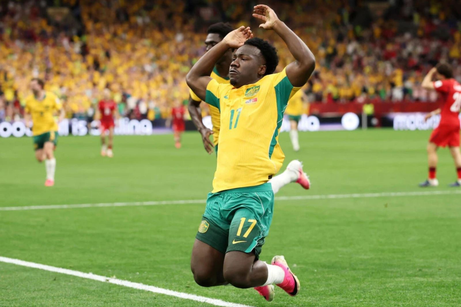 World Cup 2026: Mèo