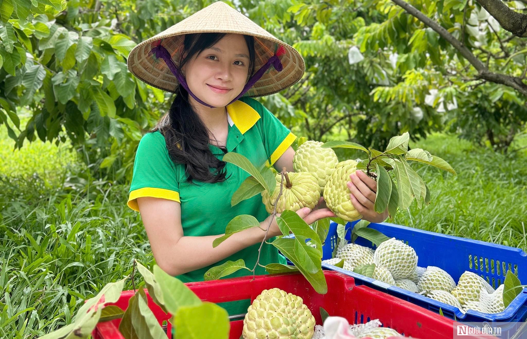 Cơ hội và áp lực khi đưa nông sản lên sàn thương mại điện tử - Ảnh 3.