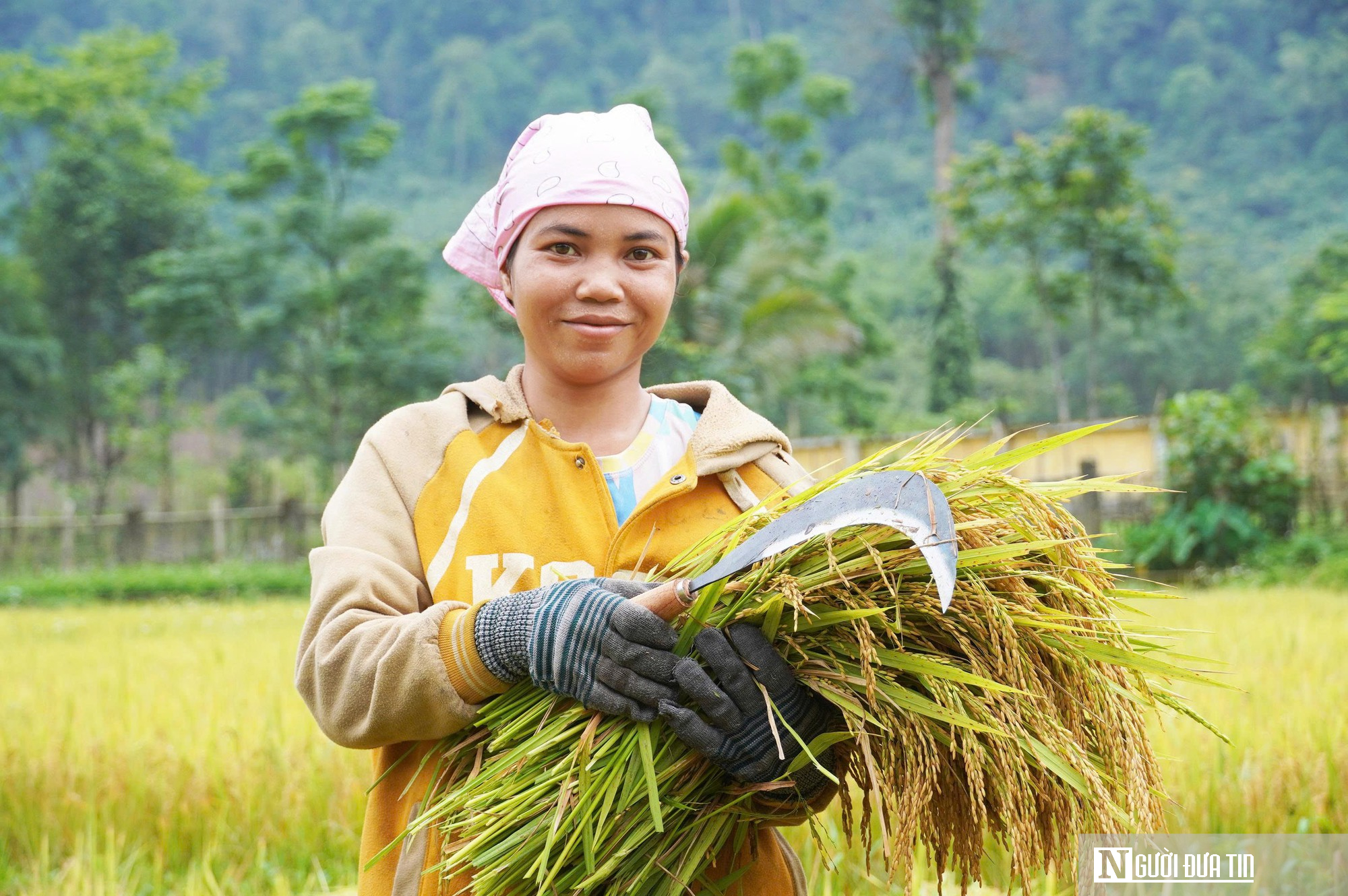 H&agrave;nh tr&igrave;nh l&agrave;m l&uacute;a nước của người Rục sau 65 năm bước ra từ hang đ&aacute;- Ảnh 5.