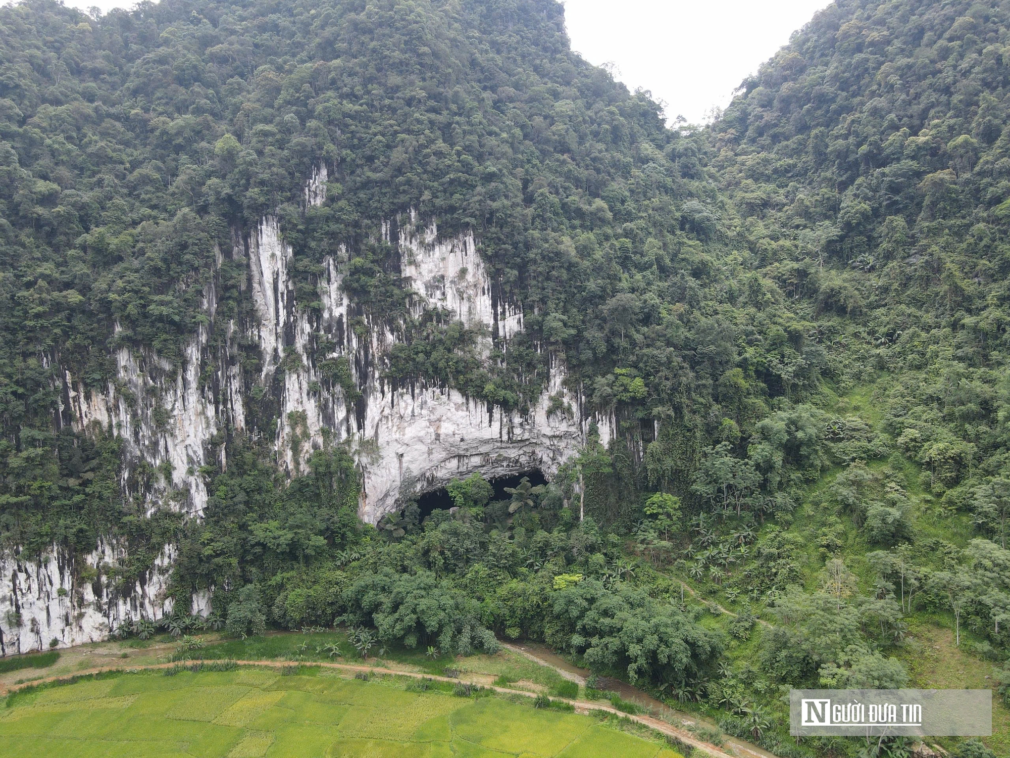 Khám phá hang động 250 triệu năm tuổi, hút khách Tây trekking ở Pù Luông- Ảnh 2. Khám phá hang động 250 triệu năm tuổi, hút khách Tây trekking ở Pù Luông- Ảnh 2.