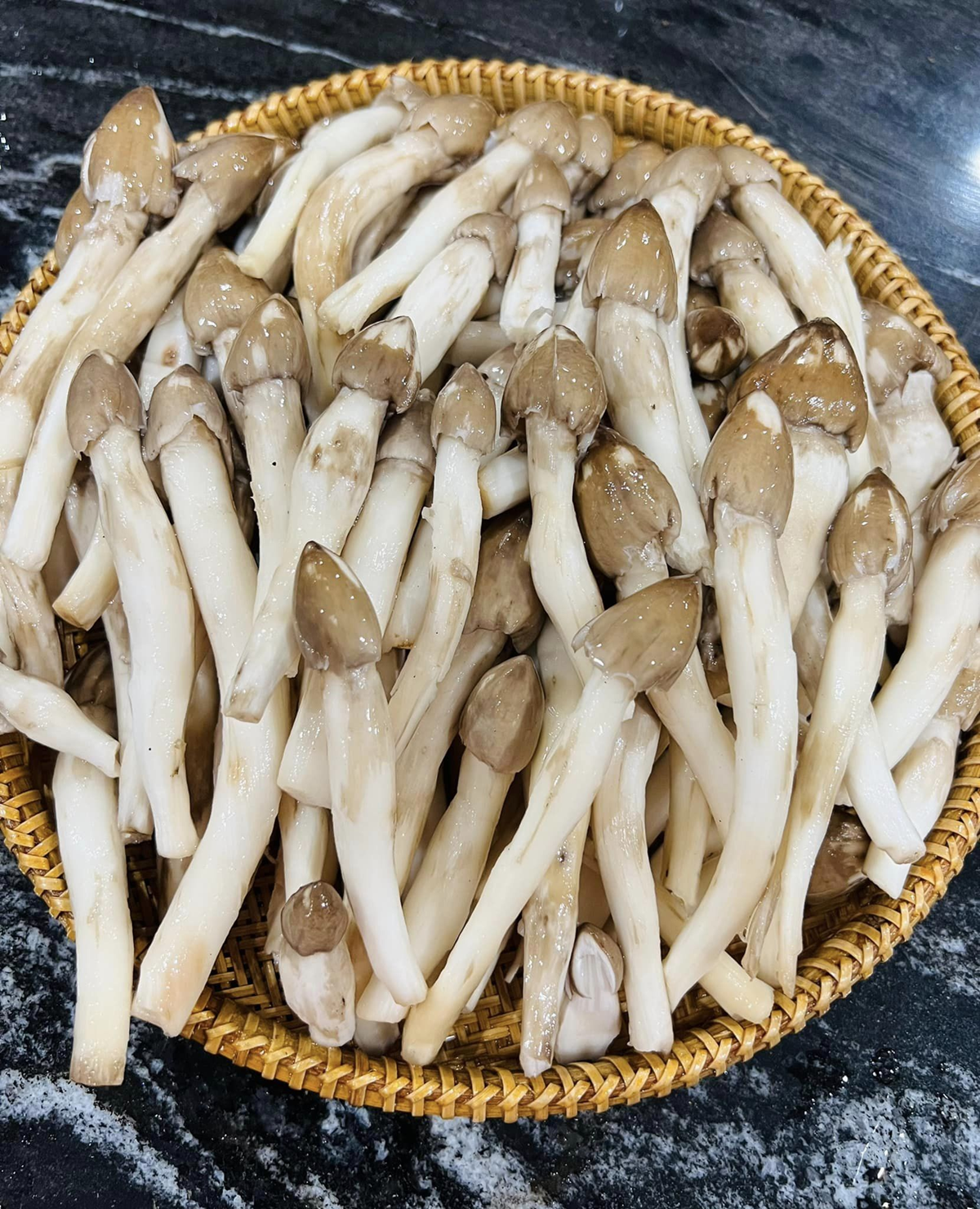 Loài cây “từ đất chui lên”, giá 1 triệu/kg vẫn khiến dân đổ xô đi tìm - Ảnh 1.