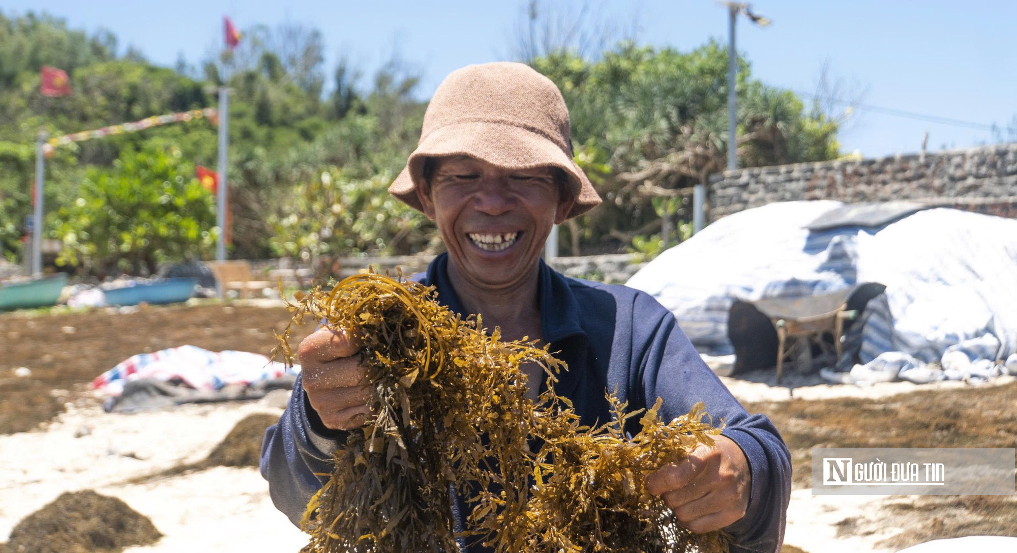 Nhộn nhịp mùa rong mơ ở Quảng Ngãi, nhiều hộ dân thu hơn triệu đồng mỗi ngày- Ảnh 8.