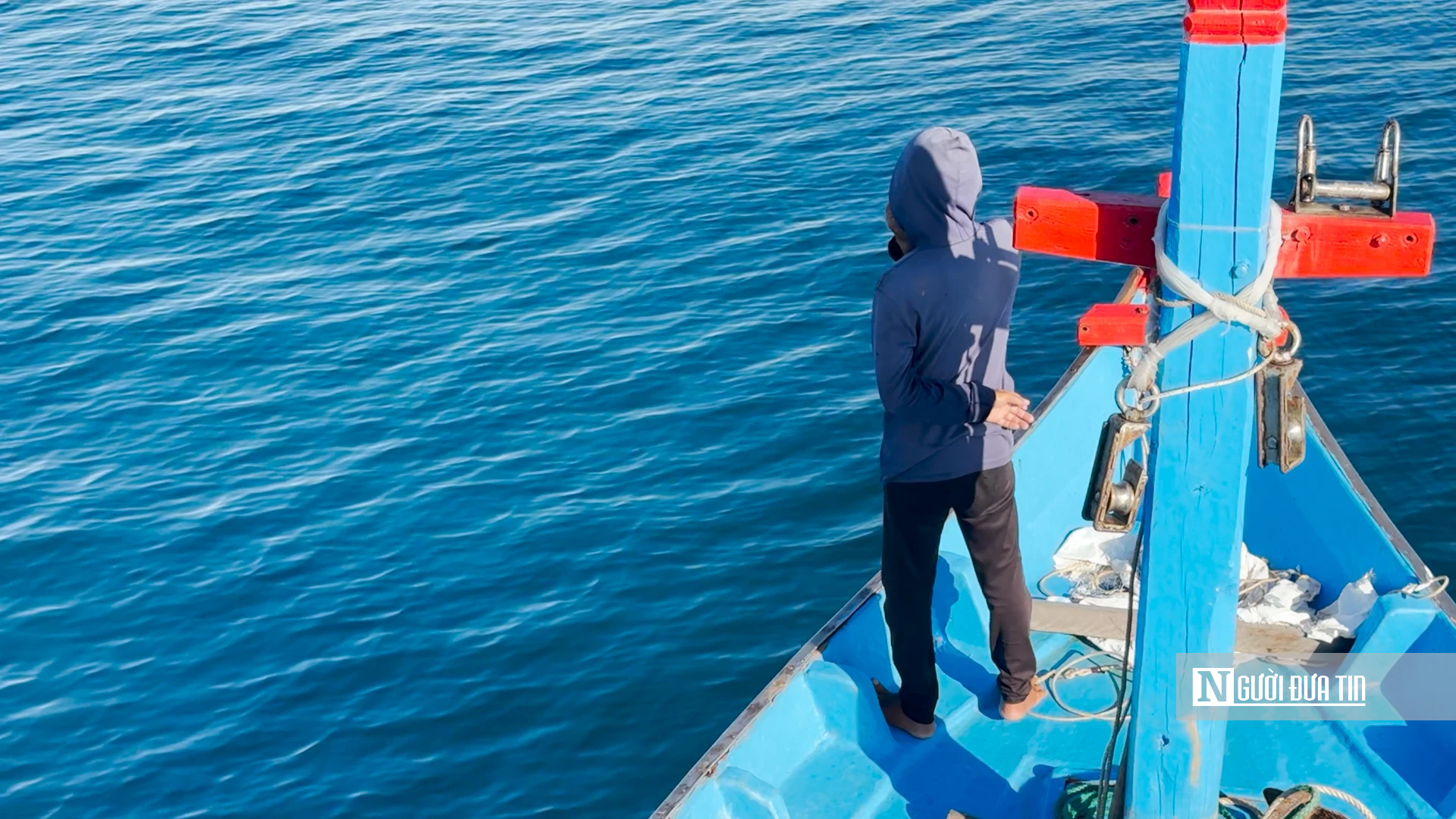 Một ng&agrave;y theo t&agrave;u lưới v&acirc;y săn luồng c&aacute; tr&ecirc;n ngư trường gần bờ biển Quảng Ng&atilde;i- Ảnh 3.