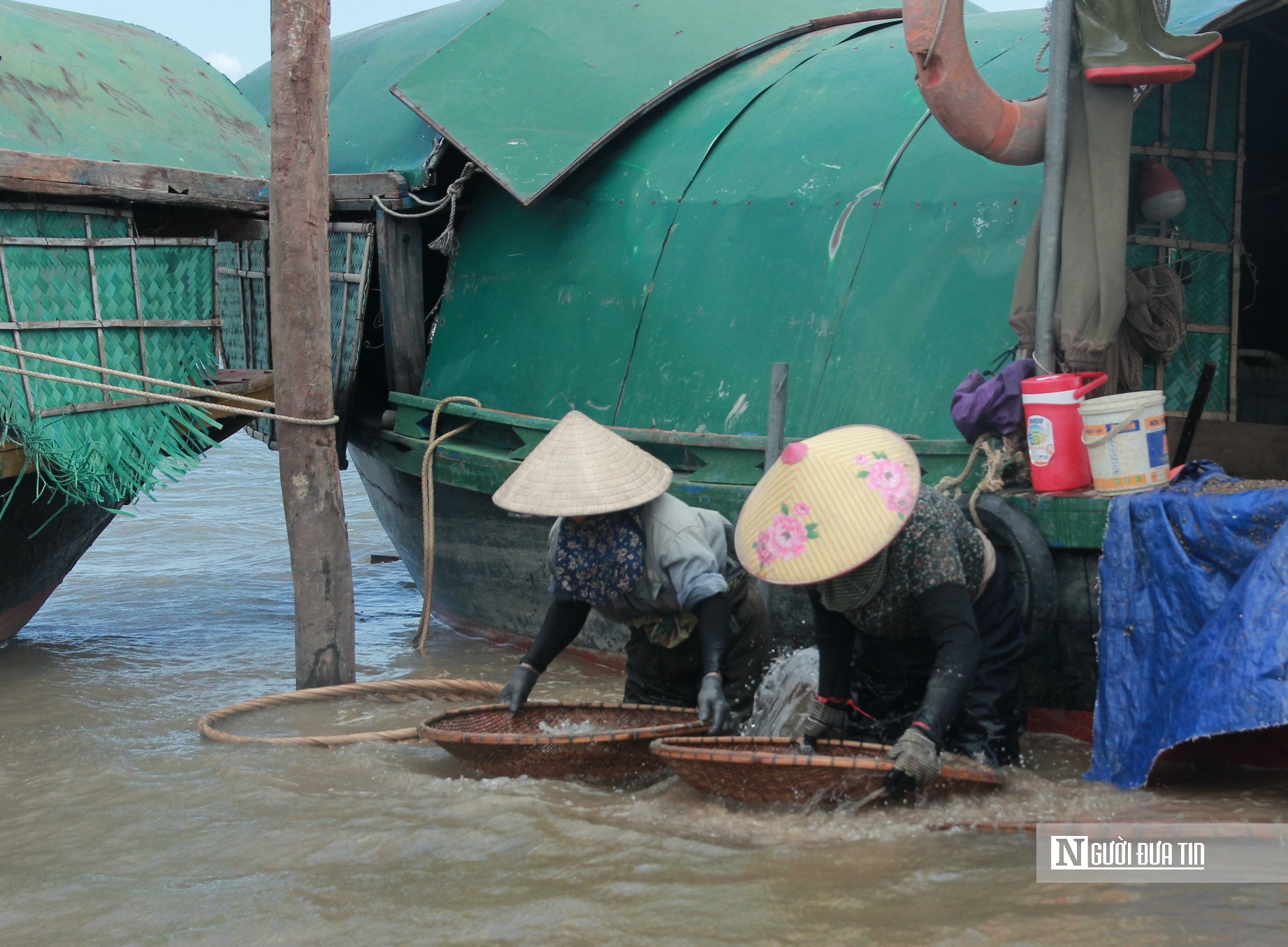 Người d&acirc;n đội nắng, ng&acirc;m m&igrave;nh dưới nước nhiều giờ kiếm &ldquo;lộc trời&rdquo; tr&ecirc;n s&ocirc;ng La - Ảnh 3.