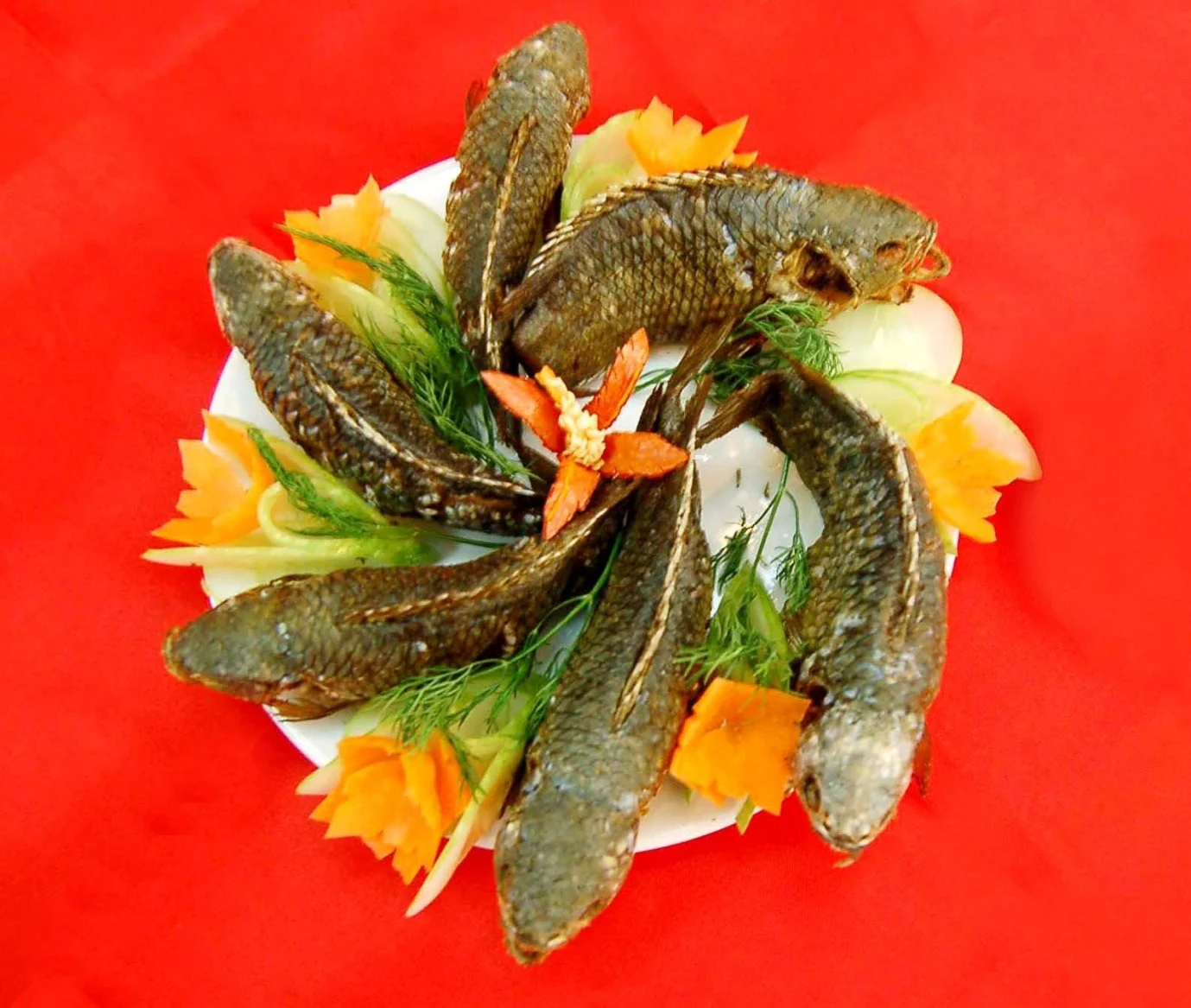 Cá cửng: Loài cá là 